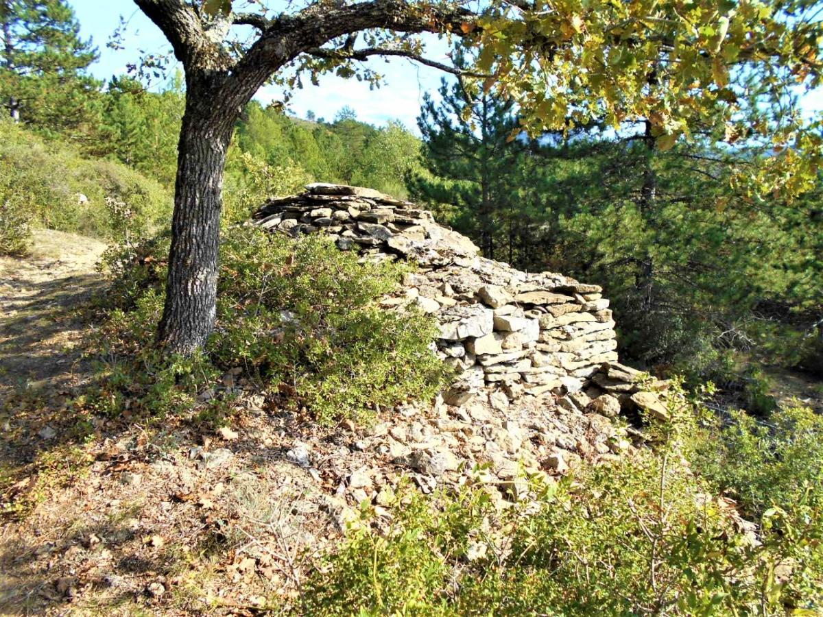 Maison Palmeral Coustaussa Luaran gambar